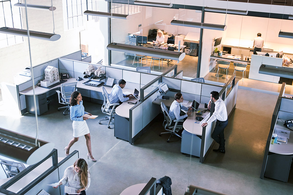 Estudios socioeconómicos | Entregamos certeza. M&aacute;s que s&oacute;lo informaci&oacute;n En Dicre no manejamos formatos r&iacute;gidos. Cada estudio se ajusta a los criterios, pol&iacute;ticas&hellip;